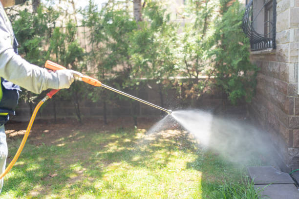 Best Pest Inspection Near Me  in Scissors, TX