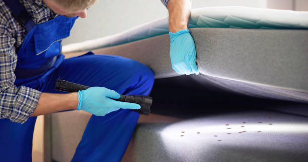 Best Residential Pest Control  in Scissors, TX