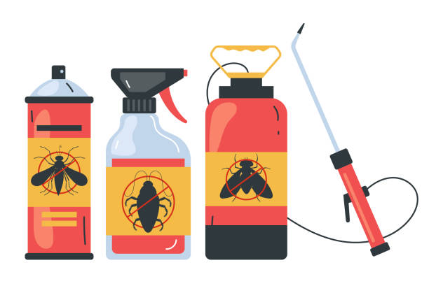 Best Bed Bug Extermination  in Scissors, TX