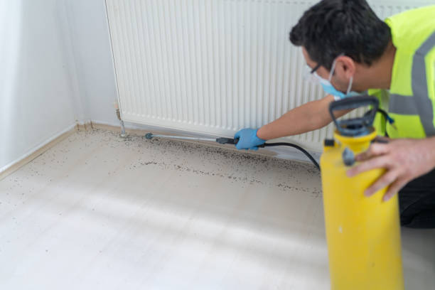 Best Pest Prevention Services  in Scissors, TX
